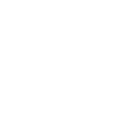 Custom Store Development